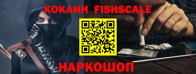 гашик Моздок