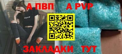 гашик Моздок