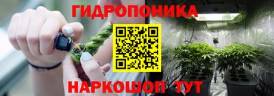 гашик Моздок