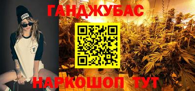 гашик Моздок