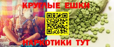 гашик Моздок