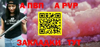 гашик Моздок