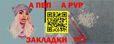 гашик Моздок