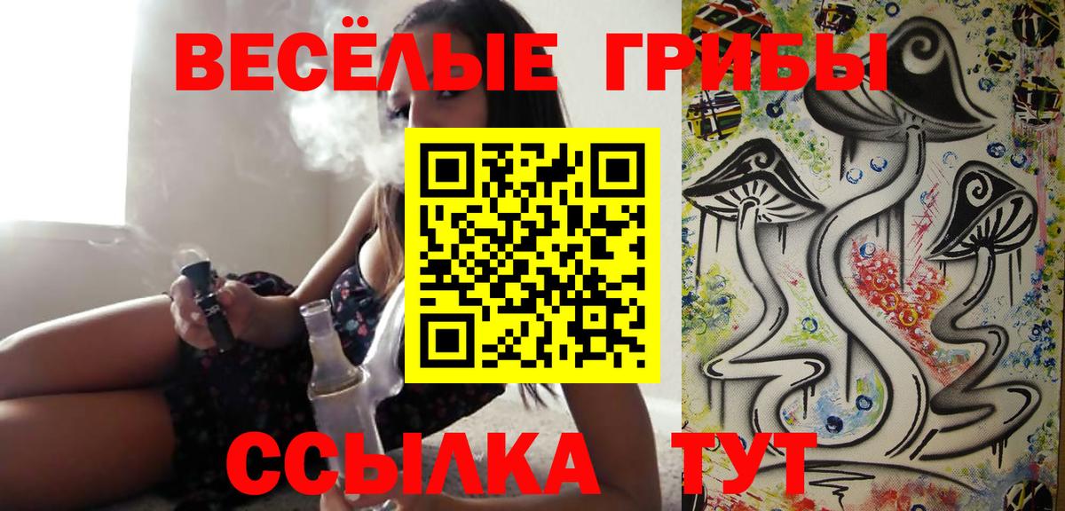 Псилоцибиновые грибы Psilocybe Рыбинск